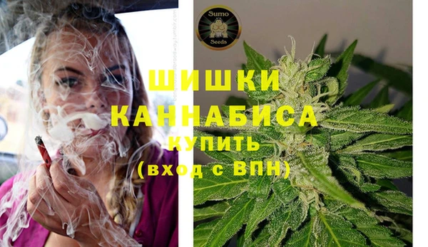 дурь Медвежьегорск