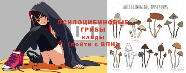 молекула духа Мегион
